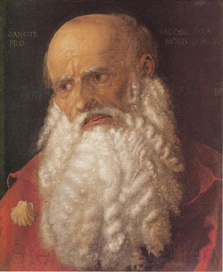 Albrecht Durer Apostel Jakobus Spain oil painting art